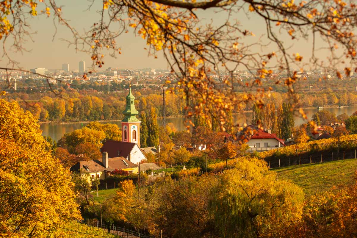 Herbstfotografie Tipps