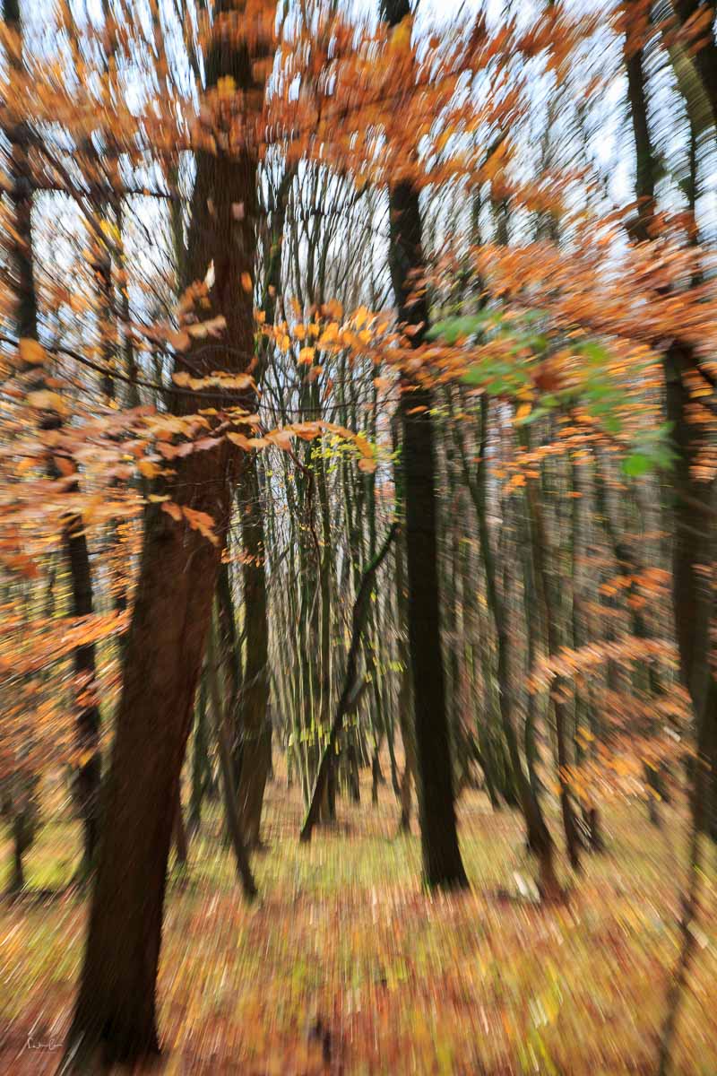 Herbstfotografie Tipps