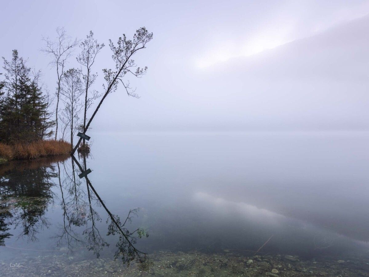 Fotografie Tipp Nebel fotografieren