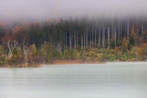 Fotografie Tipp Nebel fotografieren