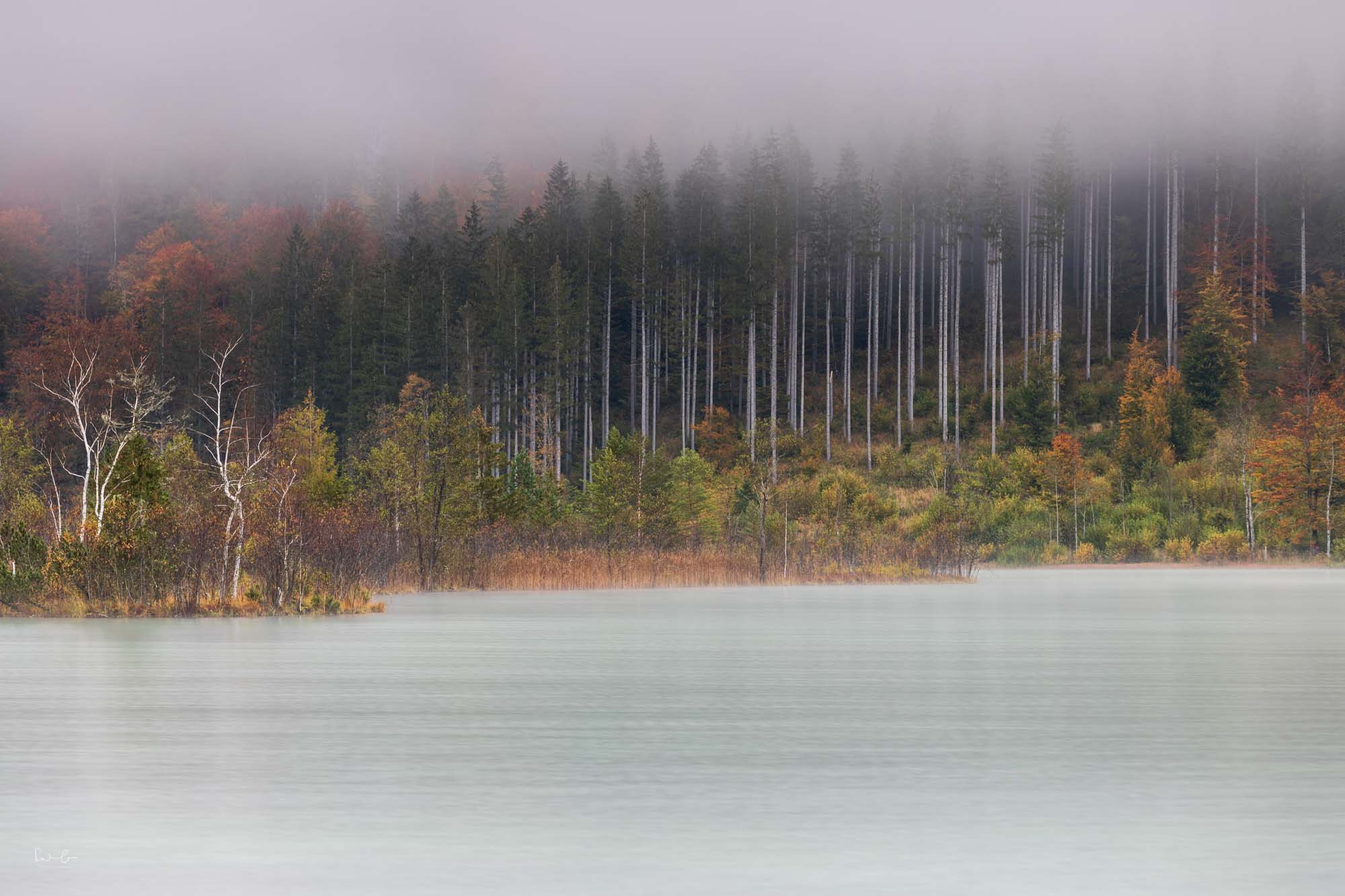 Fotografie Tipp Nebel fotografieren