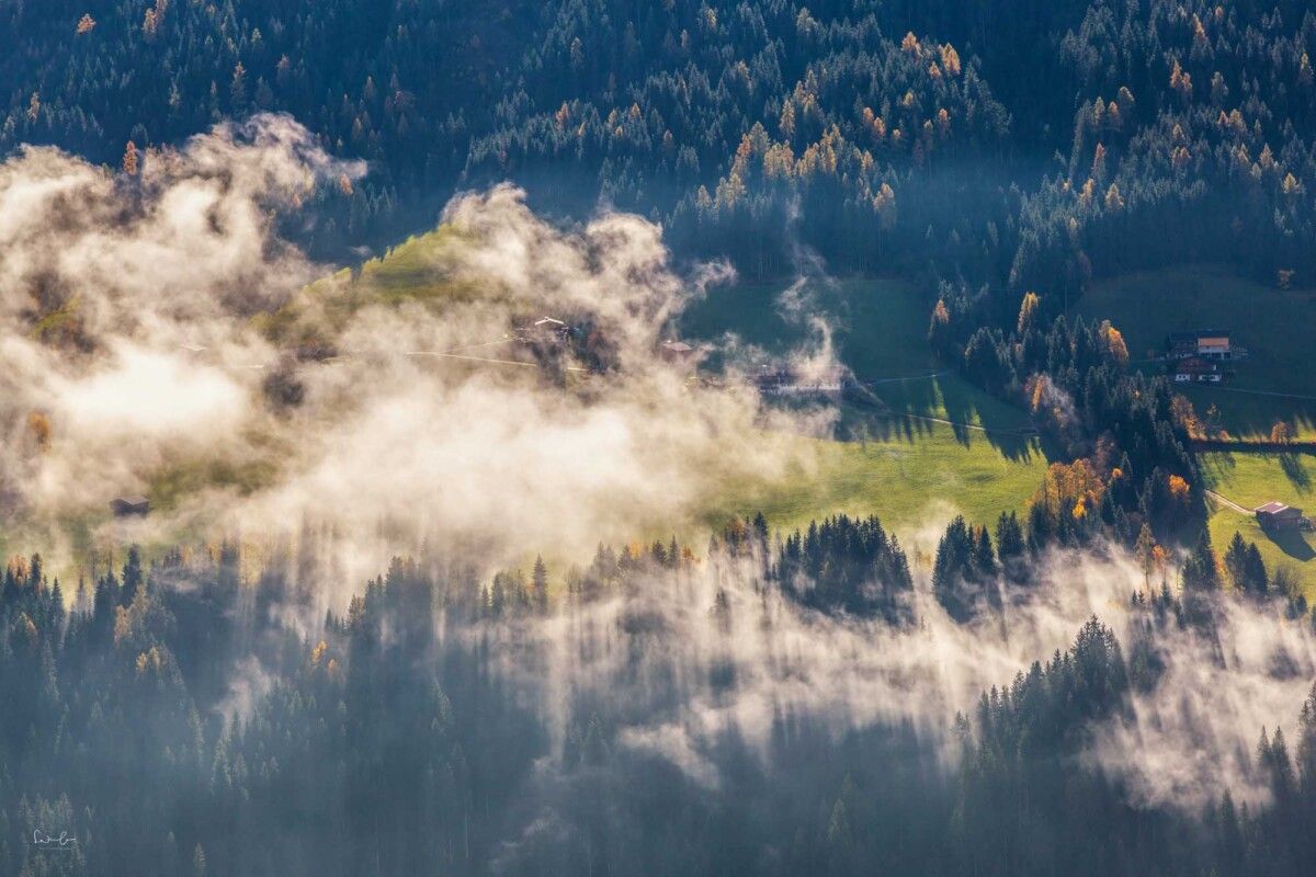 Fotografie Tipp Nebel fotografieren