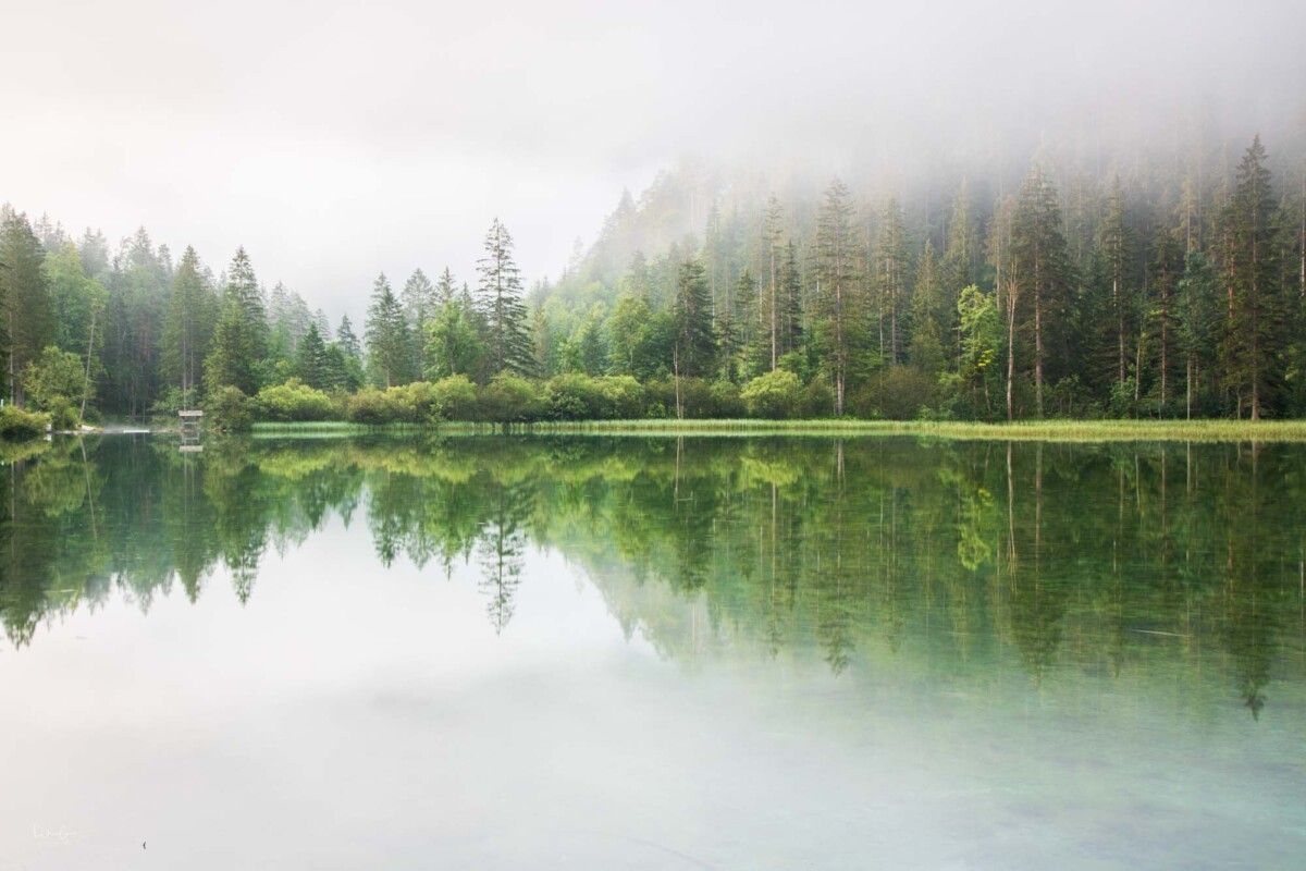 Fotografie Tipp Nebel fotografieren