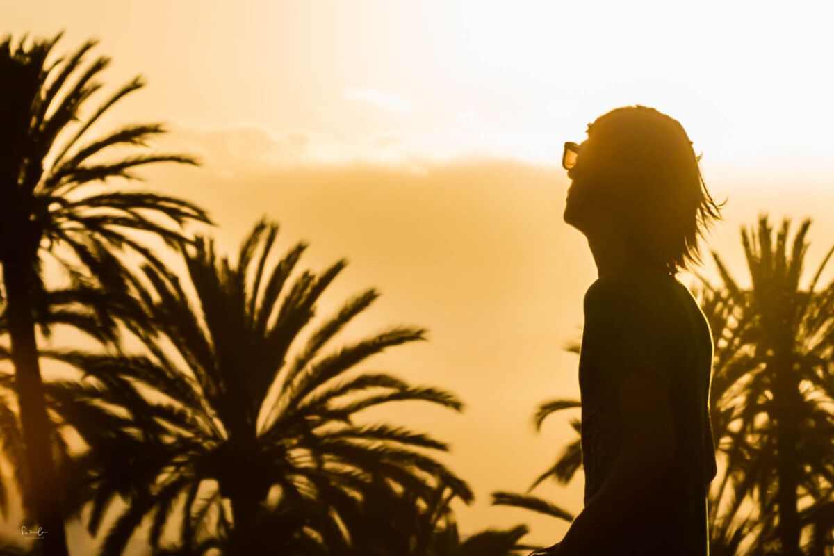 Silhouette zur Goldenen Stunde