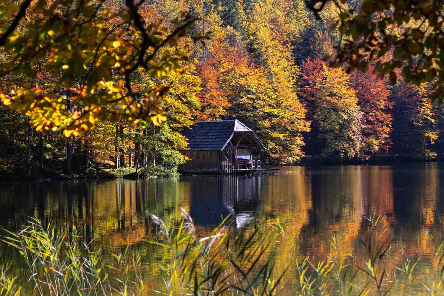 Bootshaus am See, eingerahmt von unscharfen Blättern im Vordergrund und buntem Herbstwald im Hintergrund.