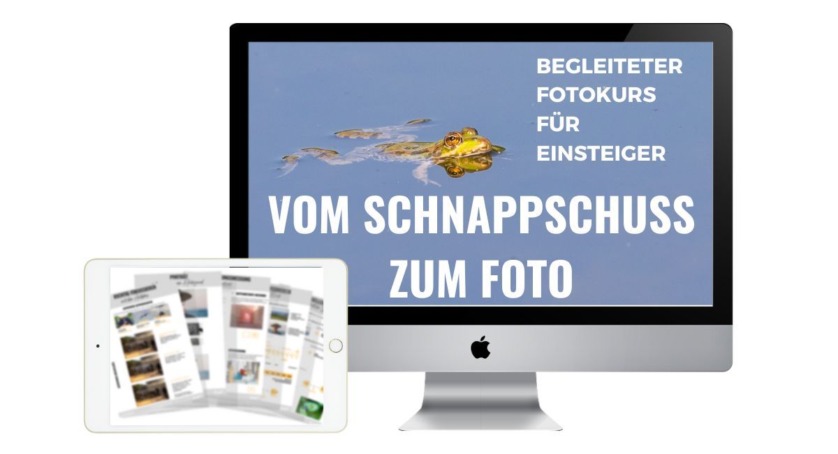 Fotokurs für Anfänger