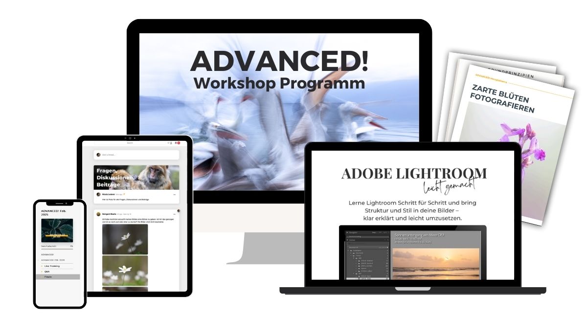 Advanced workshop Programm mockup