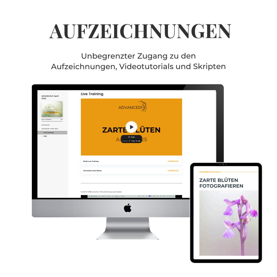 Bild zeigt ein Mockup computer und iPad: es gib aufzeichnungen zu den trainings