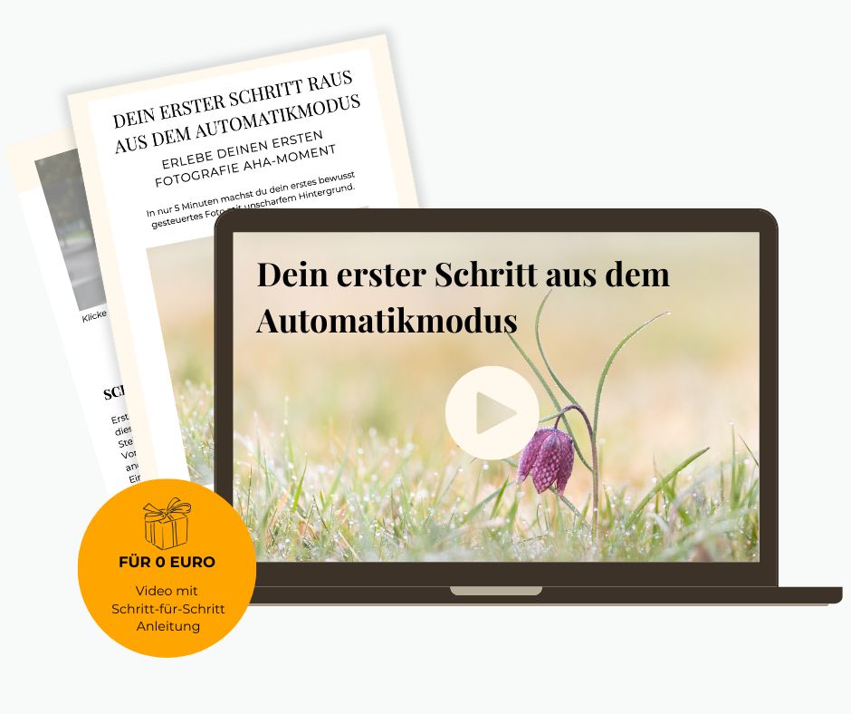 Videoguide Mockup für Fotografie Einsteiger zeigt bild mit scharfem Hintergrund und eines mit unscharfem hintergrund