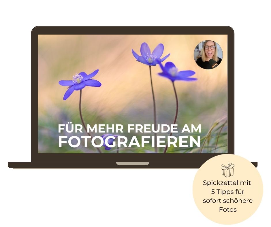 Mockup Fotografie Training für Anfänger, was für mehr Freude am Fotografieren wirbt