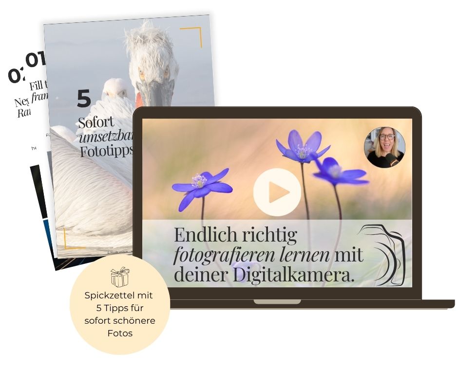 Mockup Fotografie Training für Anfänger, was für mehr Freude am Fotografieren wirbt