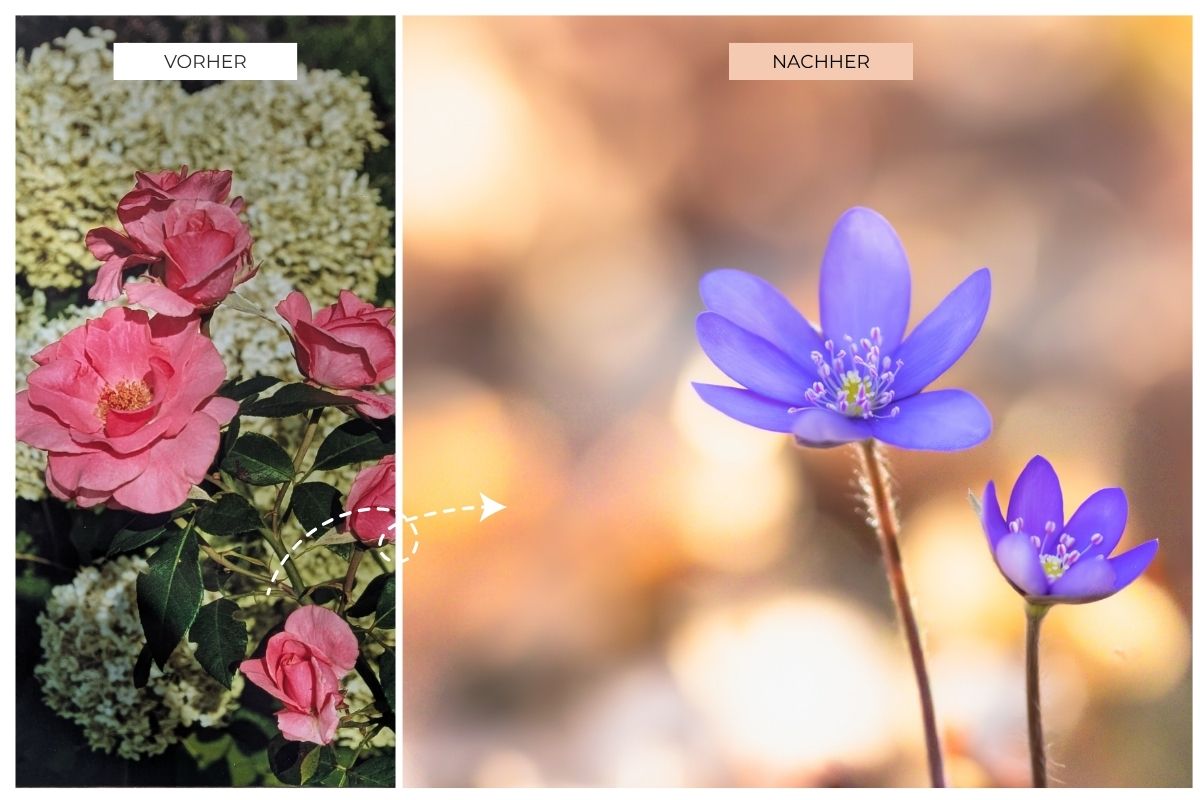 Vorher-Nachher-Vergleich: Silkes Fotos vor und nach BEYOND