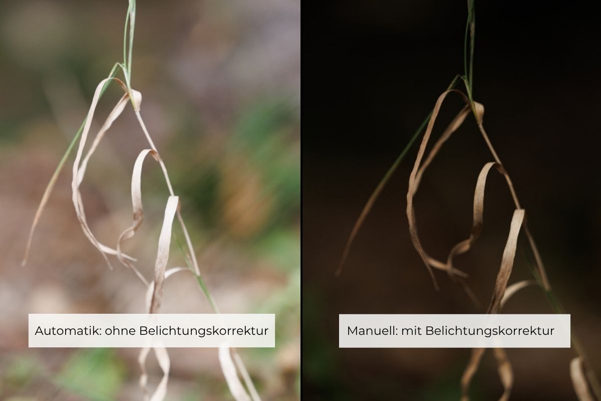 Vergleich zwei Bilder mit und ohne Belichtungskorrektur