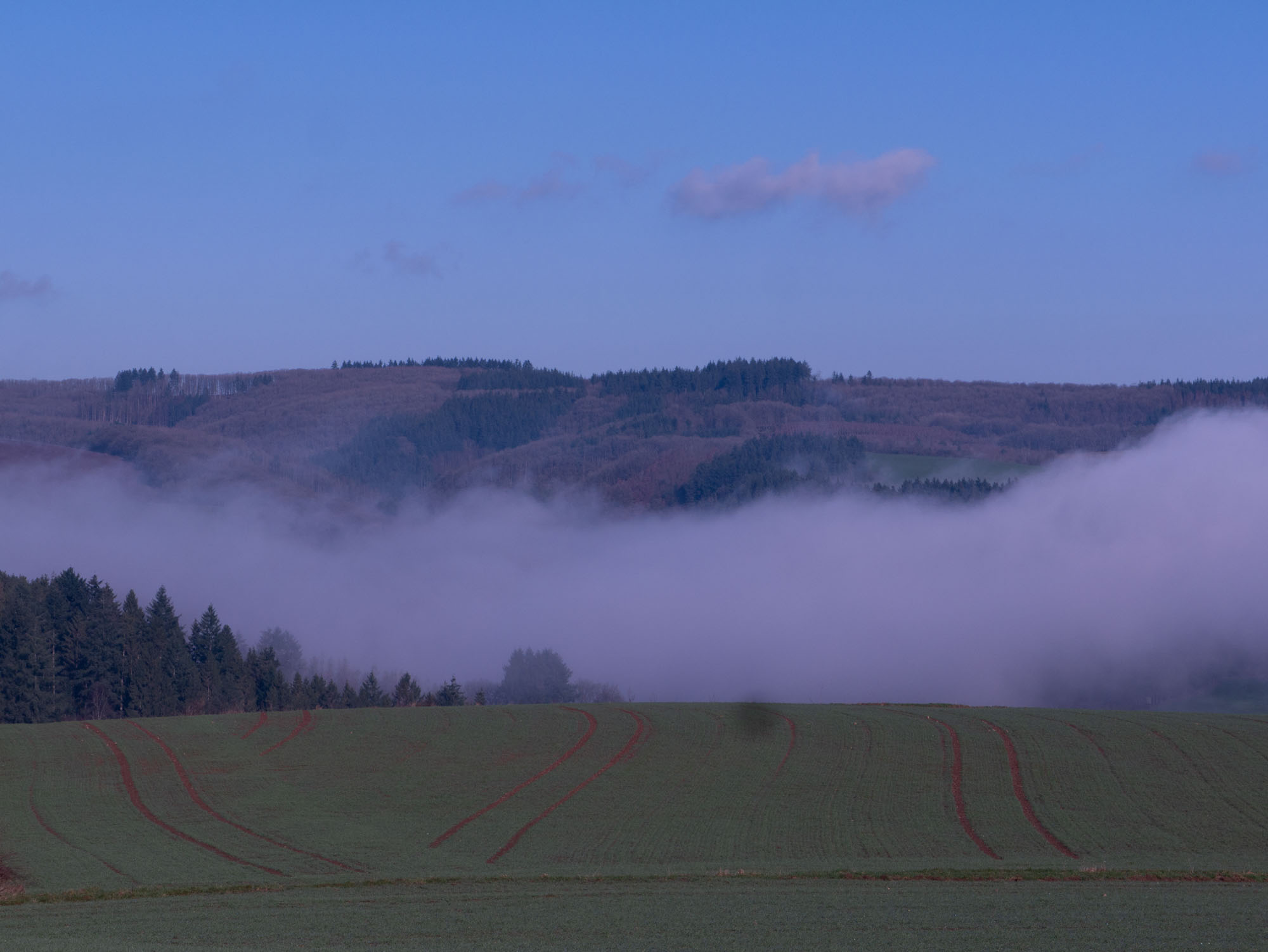 Unbearbeitetes Landschaftsfoto mit Nebel zwischen bewaldeten Hügeln